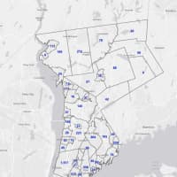 <p>The Westchester County COVID-19 map on Monday, March 8.</p>