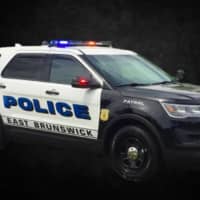 Fleeing Burglar Rescued From Pond In East Brunswick: Police