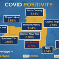 <p>The breakdown of positive infection rate across New York State</p>