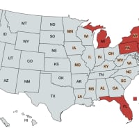 <p>Florida, New York, Michigan, Pennsylvania, and New Jersey represent nearly 50 percent of the nation&#x27;s new COVID-19 cases.</p>