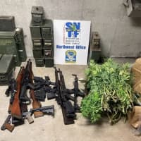 <p>Guns, ammo, and marijuana plants were seized from a New Haven County home.</p>