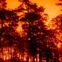 <p>A forest fire destroyed at least 900 acres in Burlington and Ocean counties.</p>