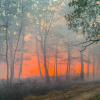 <p>A forest fire in South Jersey</p>
