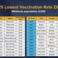 <p>These are the 25 lowest vaccination rate ZIP codes in New York.</p>