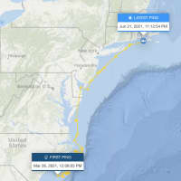 <p>OCEARCH has been tracking Freya up the East Coast.</p>