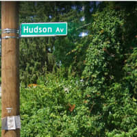 <p>Hudson Avenue in Roosevelt.</p>