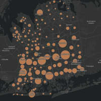 <p>The Nassau County COVID-19 map on Tuesday, Aug. 3.</p>