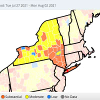 <p>Counties in New York with “high” (dark red) and “substantial” (orange) COVID-19 transmission rates as of Wednesday, Aug. 4.</p>