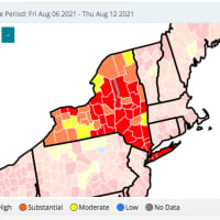 <p>Counties in New York with “high” (dark red) and “substantial” (orange) COVID-19 transmission rates as of Saturday, Aug. 14.</p>