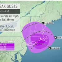 <p>A look at expected peak wind gusts from Hurricane Henri.</p>