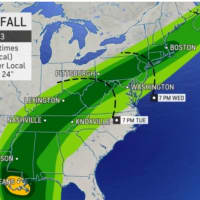<p>Projected rainfall amounts for Ida, with areas in dark green projected to see 4 to 8 inches, and areas in light green 2 to 4 inches.</p>