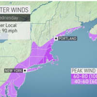 <p>A look at areas where there will be 40 to 60 mile-per-hour wind gusts (light purple) and potential 60 to 80 mph gusts (dark purple).</p>
