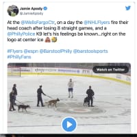 <p>A police K-9 dog took a dump at a Philadelphia Flyers game.</p>