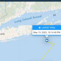 <p>Frosty, which measures 9-feet, 2 inches and weighs 393 pounds, pinged south of Hampton Bays at around 10:15 p.m. Saturday, May 13.</p>
