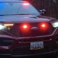 Pedestrian Killed By Tractor-Trailer In Maryland: State Police (DEVELOPING)