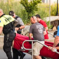 <p>A dolphin was rescued from the Morris Canal in Jersey City Monday.</p>