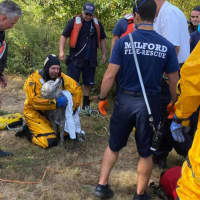 <p>Milford Firefighters rescued a man who jumped into a swamp to save his dog on Wednesday, Sept. 30. Here we see &quot;Ghost&quot; the dog safe and sound.</p>