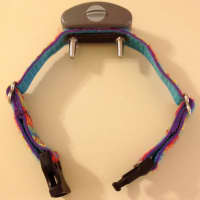 <p>Shock collar for a dog</p>