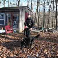 <p>Police with K-9 cop assistance search for evidence in Charlton, Nov. 20</p>