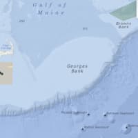 <p>Right whales were recently spotted near the Massachusetts islands. This NOAA map shows where the right whales were observed either by acoustics or visually.</p>