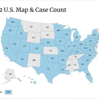 <p>The Centers for Disease Control and Prevention (CDC) has released a rundown of cases by state.</p>