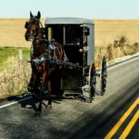 <p>An Amish horse-and-buggy.</p>