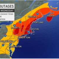<p>Areas most at risk for power outages due to fallen trees/power lines, and gusty winds are shown in red.</p>