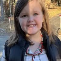 'Long Road Ahead': Fundraiser Created For Girl Critically Hurt In Head-On Foxboro Crash