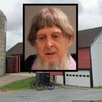 <p>Amos Ebersol who is accused of raping his daughters in the barn and buggy of his farm in Ephrata (pictured), detectives detailed in court documents.</p>