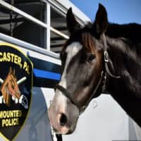 Central PA Police Horse Featured In Children's Book Killed