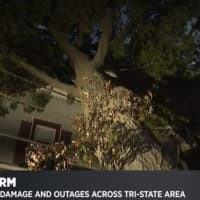 <p>A tree fell on a home in Union during the overnight storm Friday</p>
