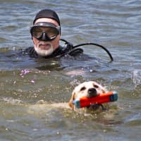 <p>Search and rescue dogs and their handlers participated in a water training.</p>
