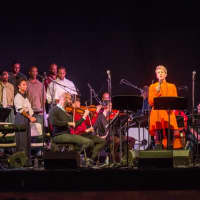 <p>Mezzo soprano Joyce DiDonato performs at the Sing Sing Correctional Facility in 2015 with other Carnegie Hall musicians and inmates.</p>