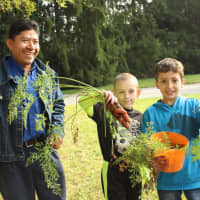 <p>Pocantico Hills students show off organic carrots, part of the harvest for their school&#x27;s annual fall festival with Jose Zamora, a school employee who maintains its garden.</p>