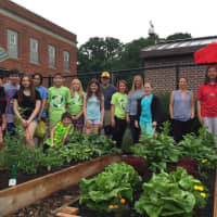 <p>The first harvest of the Suffern Middle School Green Team&#x27;s garden.</p>