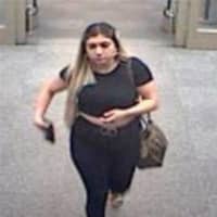 <p>Police are asking the public for help locating and identifying four people accused of stealing merchandise from a Long Island Target.</p>