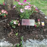 <p>A flowery example of how the Woodlands High School Gardening Club has helped the community.</p>