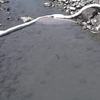 <p>A view of Wednesday&#x27;s fuel spill in a photo provided by the state Department of Environmental Conservation. A DEC spokeswoman said Friday the origin of the &quot;very small&quot; amount of some kind of oil has not been determined but does not pose a threat.</p>