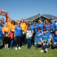 <p>A team from Berkeley College participated in the 2016 MS Walk.</p>