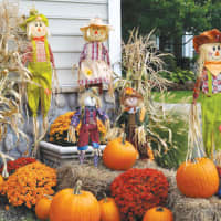 <p>The Fall Festival will feature kids activities, a car show and more.</p>