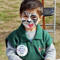<p>The Hounds on the Sound Dog Walk &amp; Festival has a variety of family-friendly activities.</p>