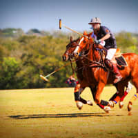 <p>Pawling&#x27;s Victory Cup Polo Match is taking place on July 16.</p>