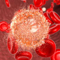 NYP Pioneers New Treatment Options For Blood-Related Cancers