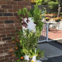 <p>The tower garden enables their commitment to farm to table.</p>