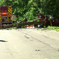 <p>A look at the crash scene on the Palisades Parkway in Stony Point where the large tree fell on the pickup truck.</p>