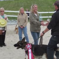 <p>Officer John McAulay and K-9 Murphy receiving their &quot;Top Dog&quot; award at the Stephen A. Ketchum K-9 Challenge.</p>