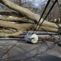 <p>Central Hudson Gas &amp; Electric is warning of possible outages ahead of a powerful storm expected to bring heavy rain and strong winds to the region.</p>