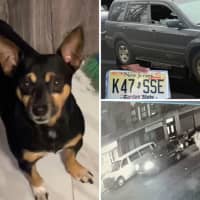 Update: Police Still Searching For Vehicle With Dog Inside Stolen In Mount Vernon