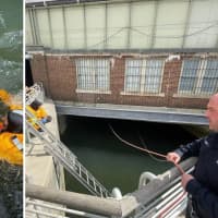 Man Rescued From Watery Tunnel Under Yonkers Train Station