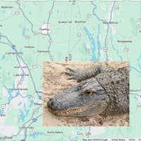 Charges Upgraded In 'Gator' Stabbing Case In Pawling